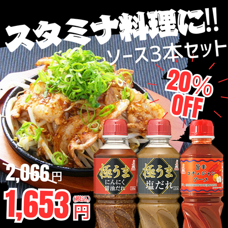 スタミナ料理におすすめソース3本セット
