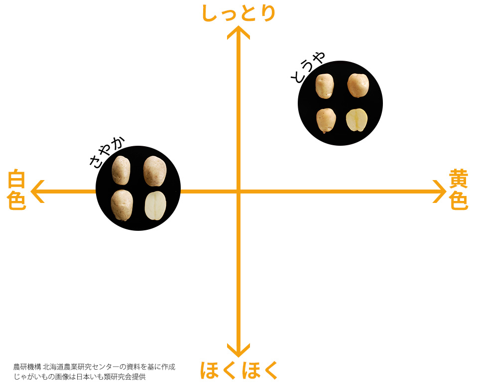 品種の特徴