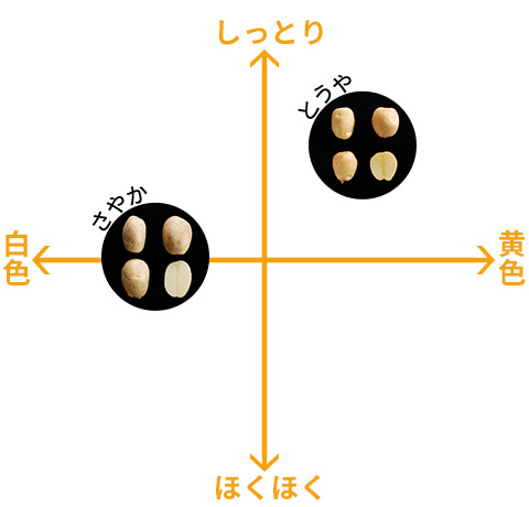 品種の特徴