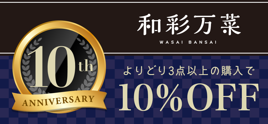 10%OFFセール